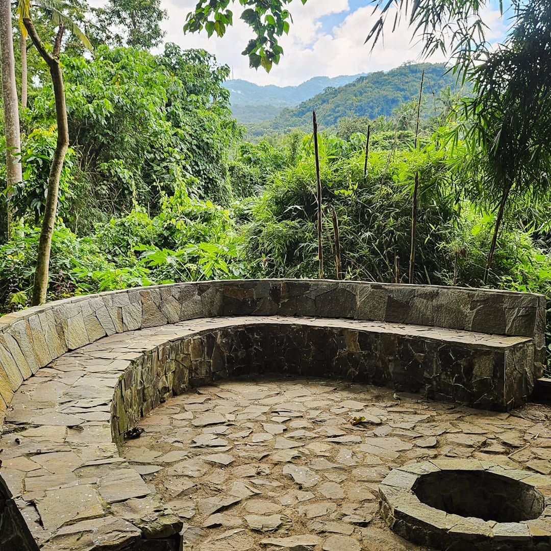 A circular stone outdoor seating area overlooking forested mountain and bamboo at The Red Hen Homestead